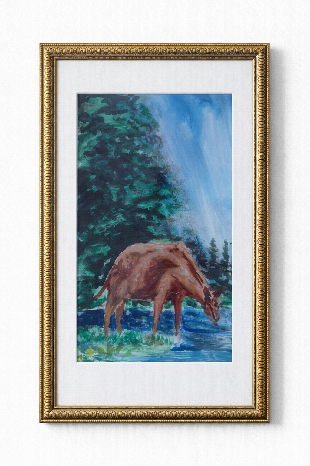 Cow grazing 